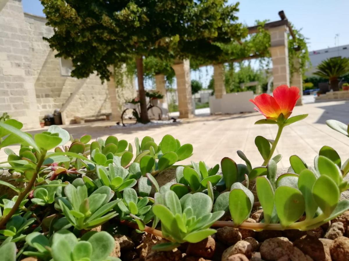 Il Giardino Del Tiglio Bed & Breakfast Уджано ла Киеза Екстериор снимка