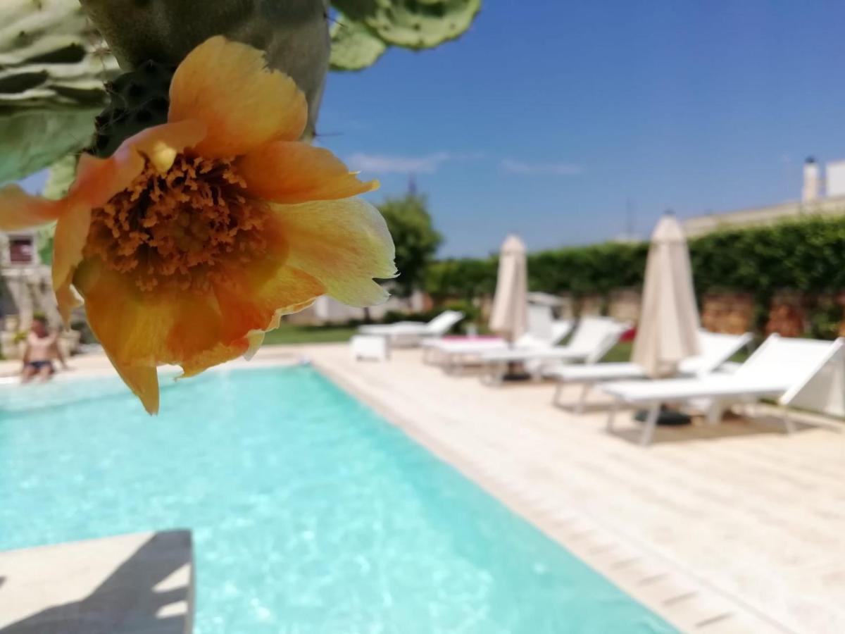 Il Giardino Del Tiglio Bed & Breakfast Уджано ла Киеза Екстериор снимка