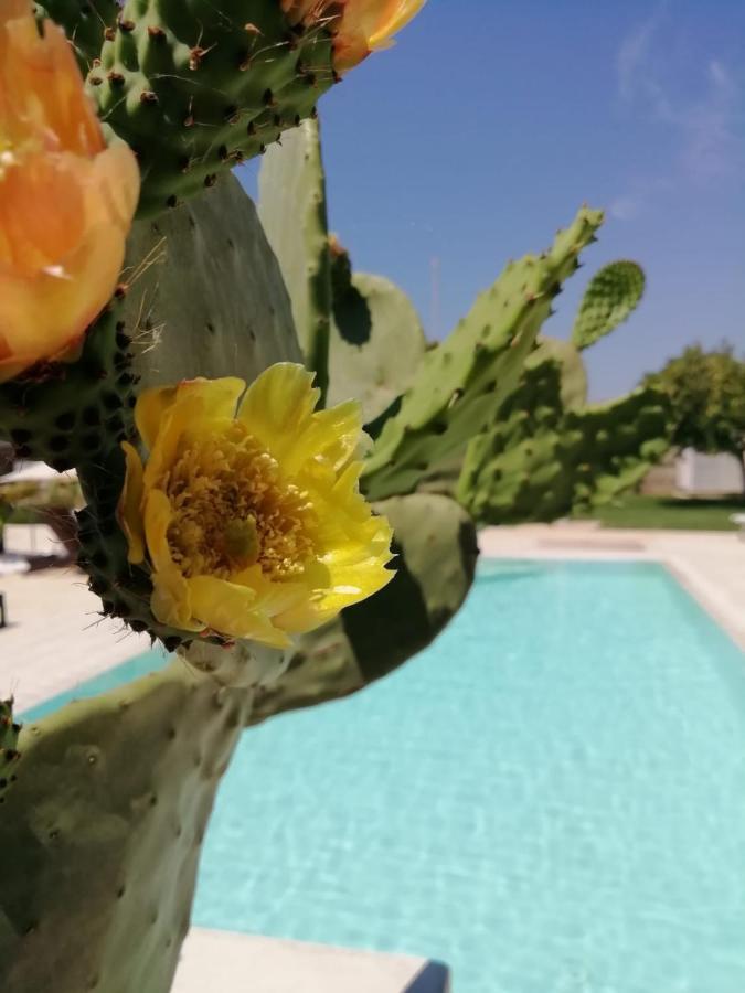 Il Giardino Del Tiglio Bed & Breakfast Уджано ла Киеза Екстериор снимка
